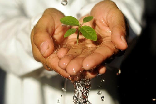 Oszczędzajmy wodę w ogrodzie, by przeciwdziałać suszy